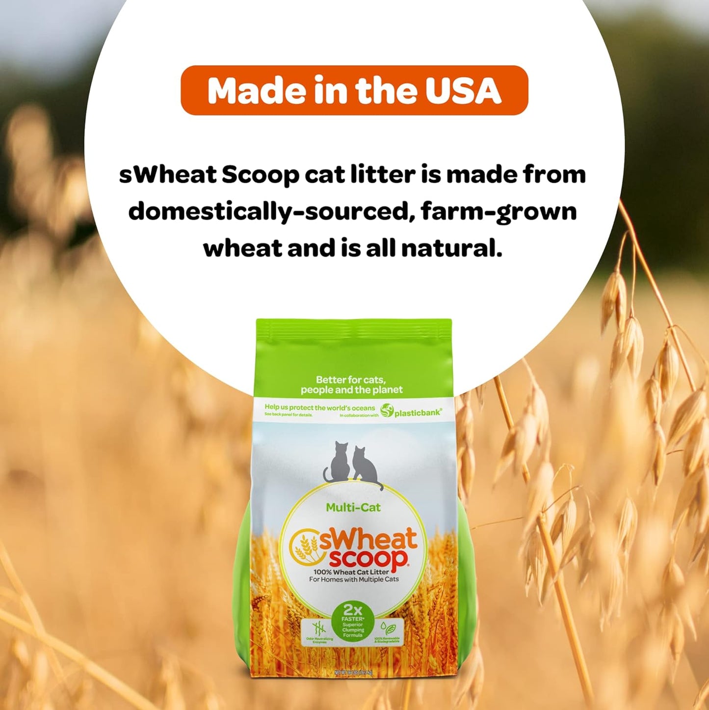 Swheat Scoop Unscented Scoopable Multi-Cat Litter, 36 lbs -  Cat Litter Swheat Scoop