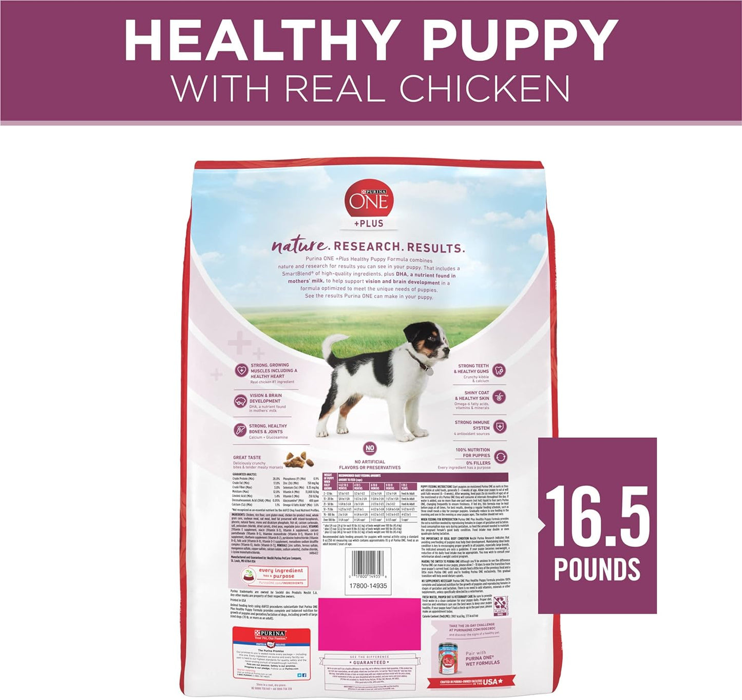Purina ONE Plus Healthy Puppy Formula High Protein Natural Dry Puppy Food -  Dry Dog Food Purina ONE