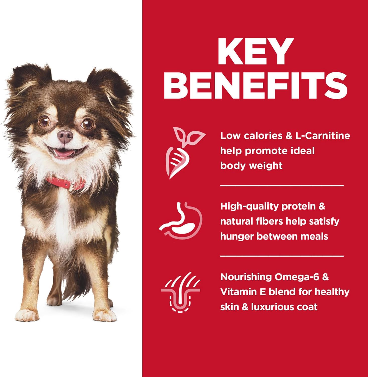 Hill's Science Diet Adult Sensitive Stomach & Skin Small & Mini Chicken Recipe Dry Dog Food -  Dry Dog Food Hill's Science
