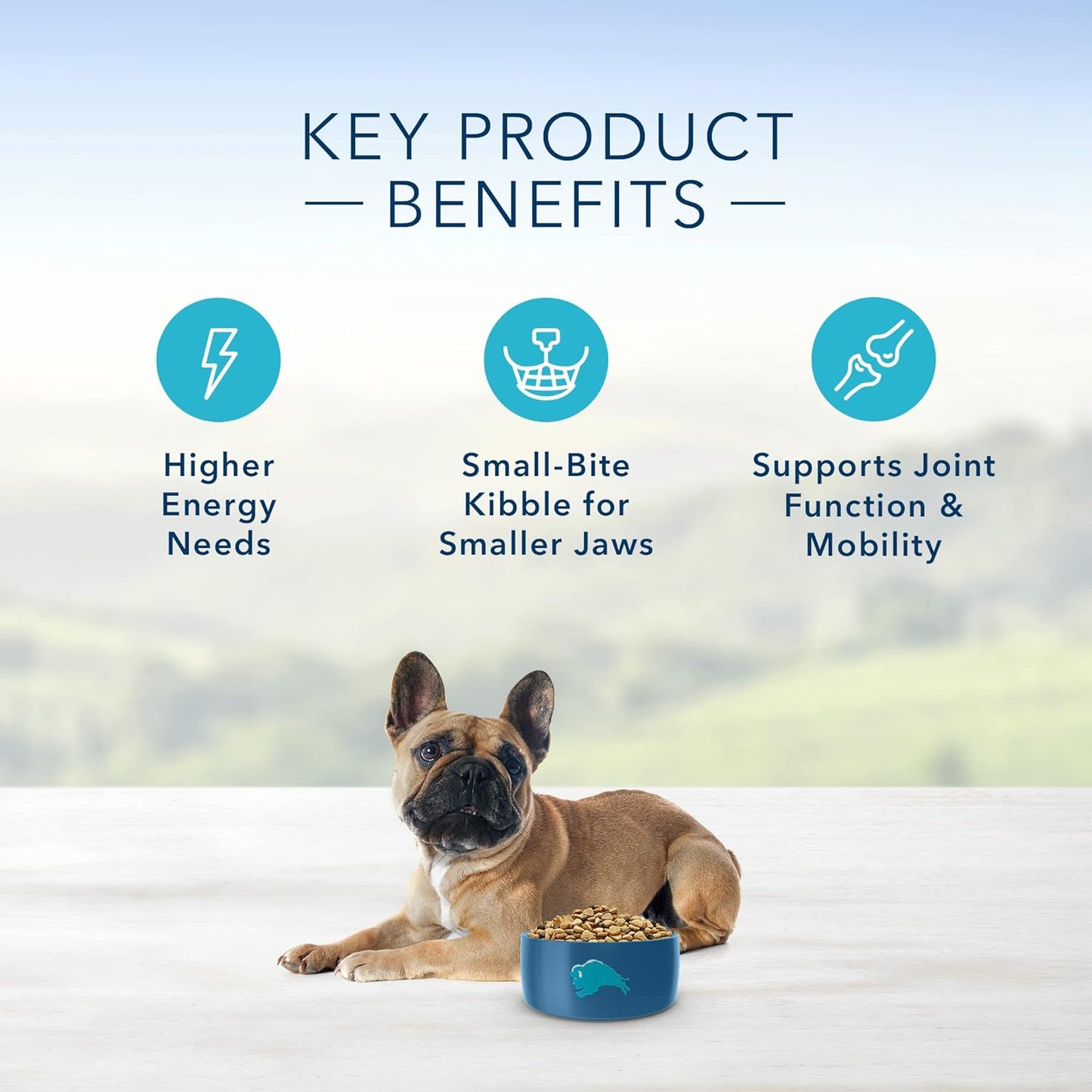 Blue Buffalo Small Breed Adult Dry Dog Food, Life Protection Formula, Natural Chicken & Brown Rice Flavor -  Dry Dog Food Blue Buffalo