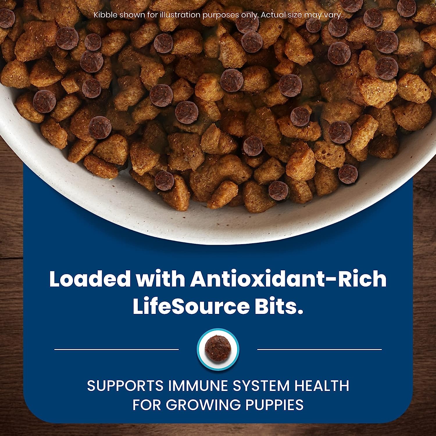 Blue Buffalo Puppy Dry Dog Food Life Protection Formula Natural Chicken & Brown Rice -  Dry Dog Food Blue Buffalo