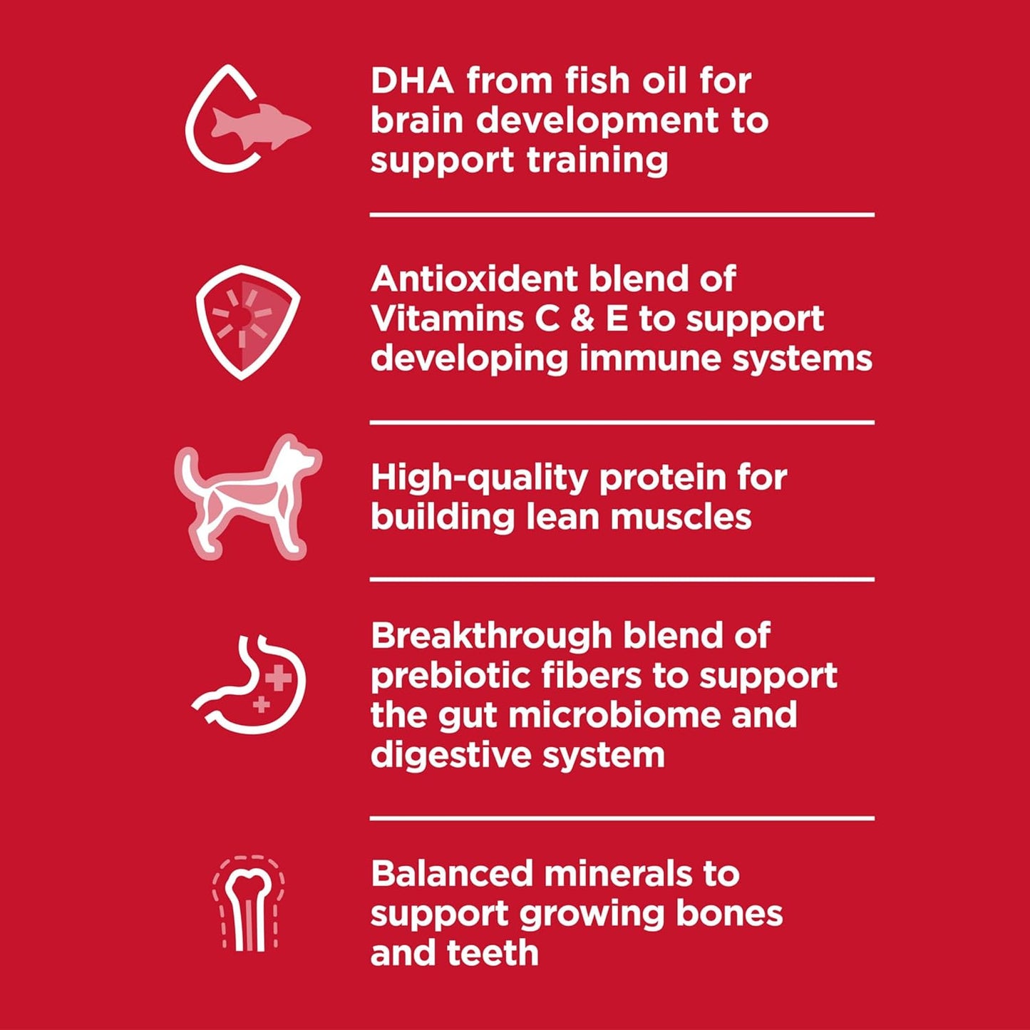 Hill's Science Diet Chicken Meal & Barley Recipe Dry Puppy Food -  Dry Dog Food Hill's Science