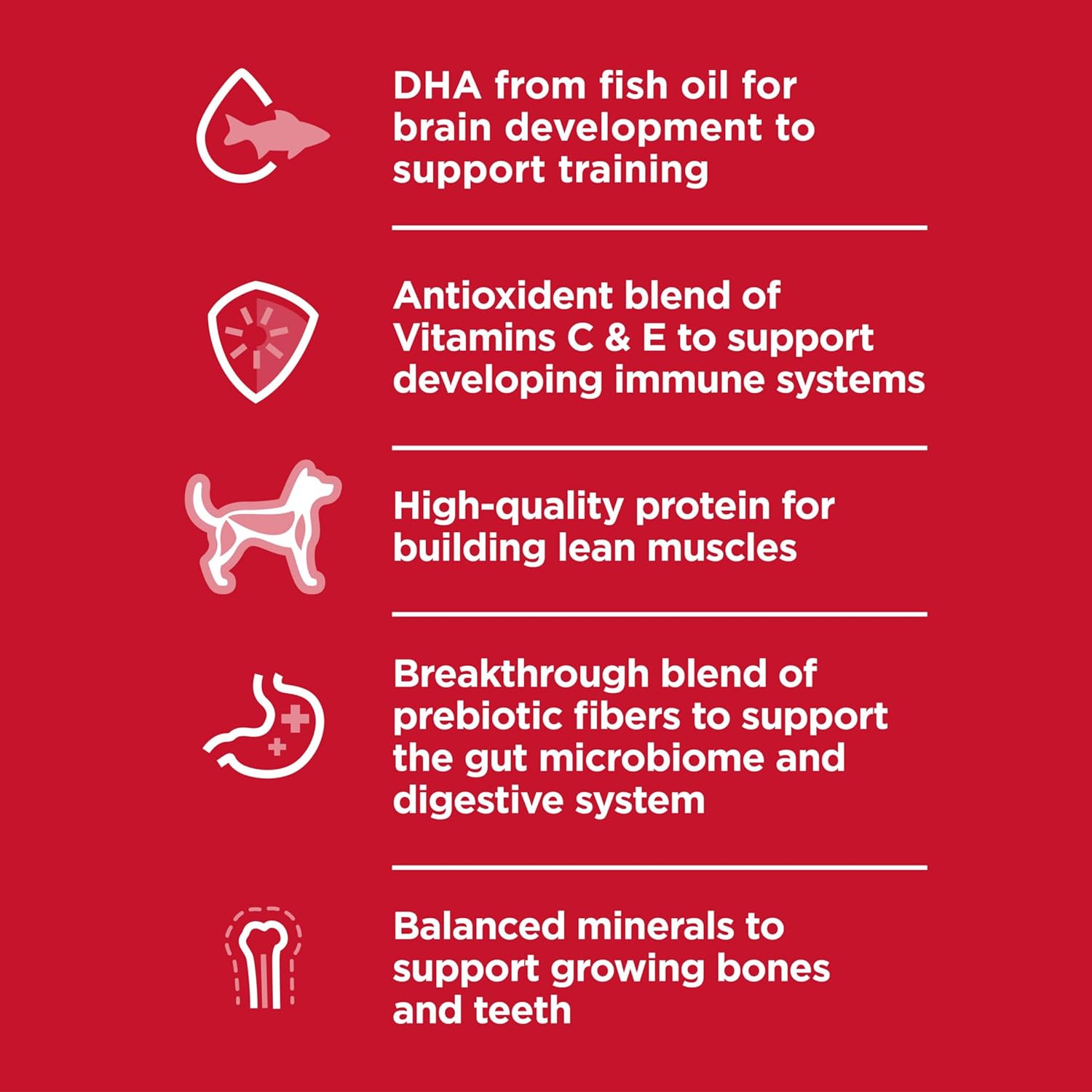 Hill's Science Diet Chicken Meal & Barley Recipe Dry Puppy Food -  Dry Dog Food Hill's Science