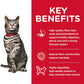 Hill's Science Diet Adult Urinary & Hairball Control Chicken Recipe Dry Cat Food -  Dry Cat Food Hill's Science