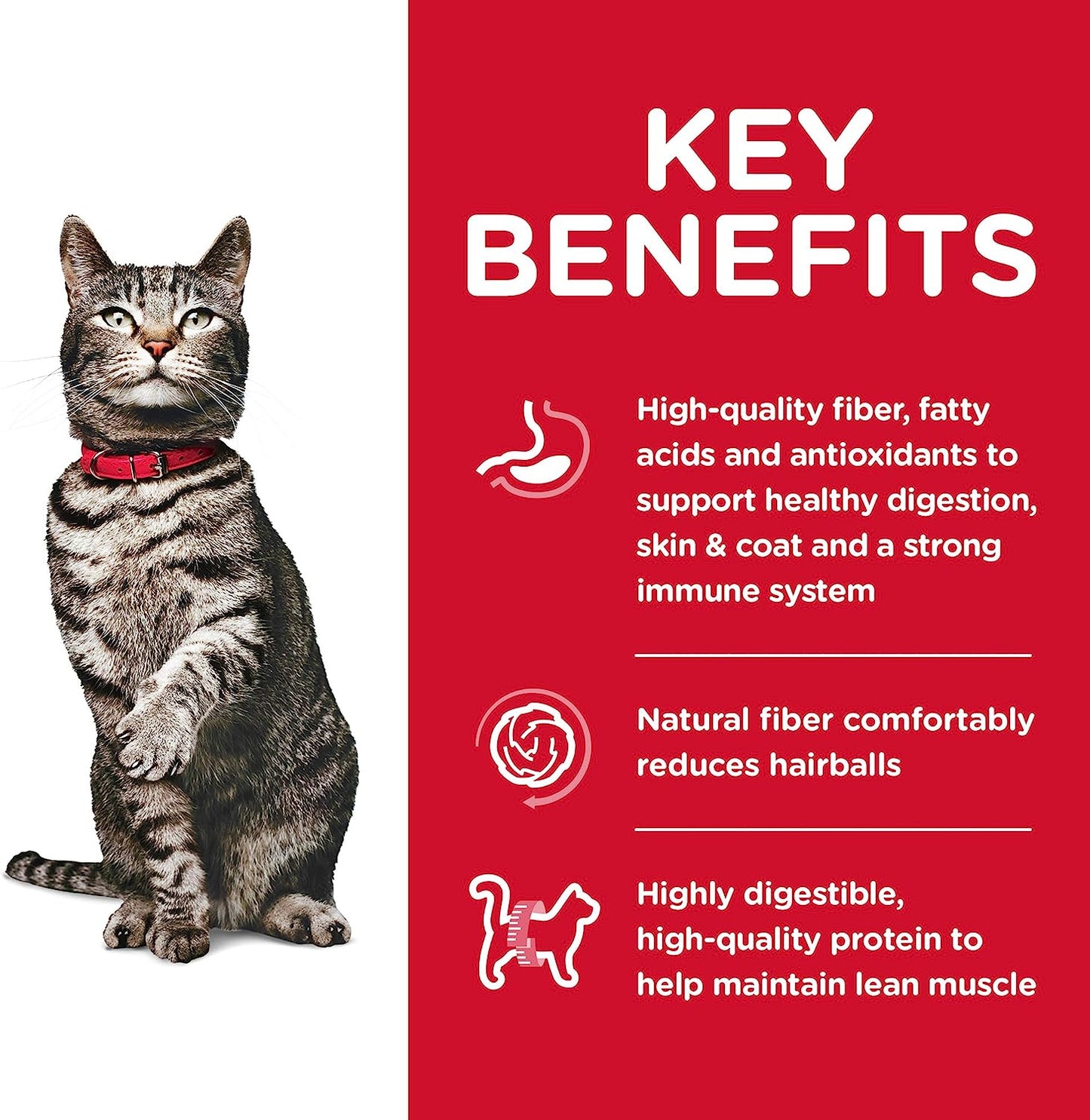 Hill's Science Diet Adult Urinary & Hairball Control Chicken Recipe Dry Cat Food -  Dry Cat Food Hill's Science
