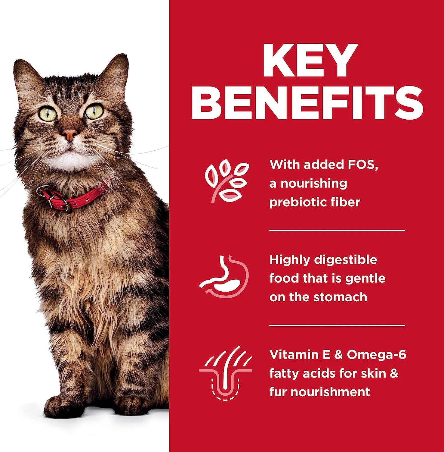 Hill's Science Diet Adult Sensitive Stomach & Skin Chicken & Rice Recipe Dry Cat Food -  Dry Cat Food Hill's Science