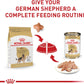 Royal Canin Breed Health Nutrition German Shepherd Adult Dry Dog Food -  Dry Dog Food Royal Canin