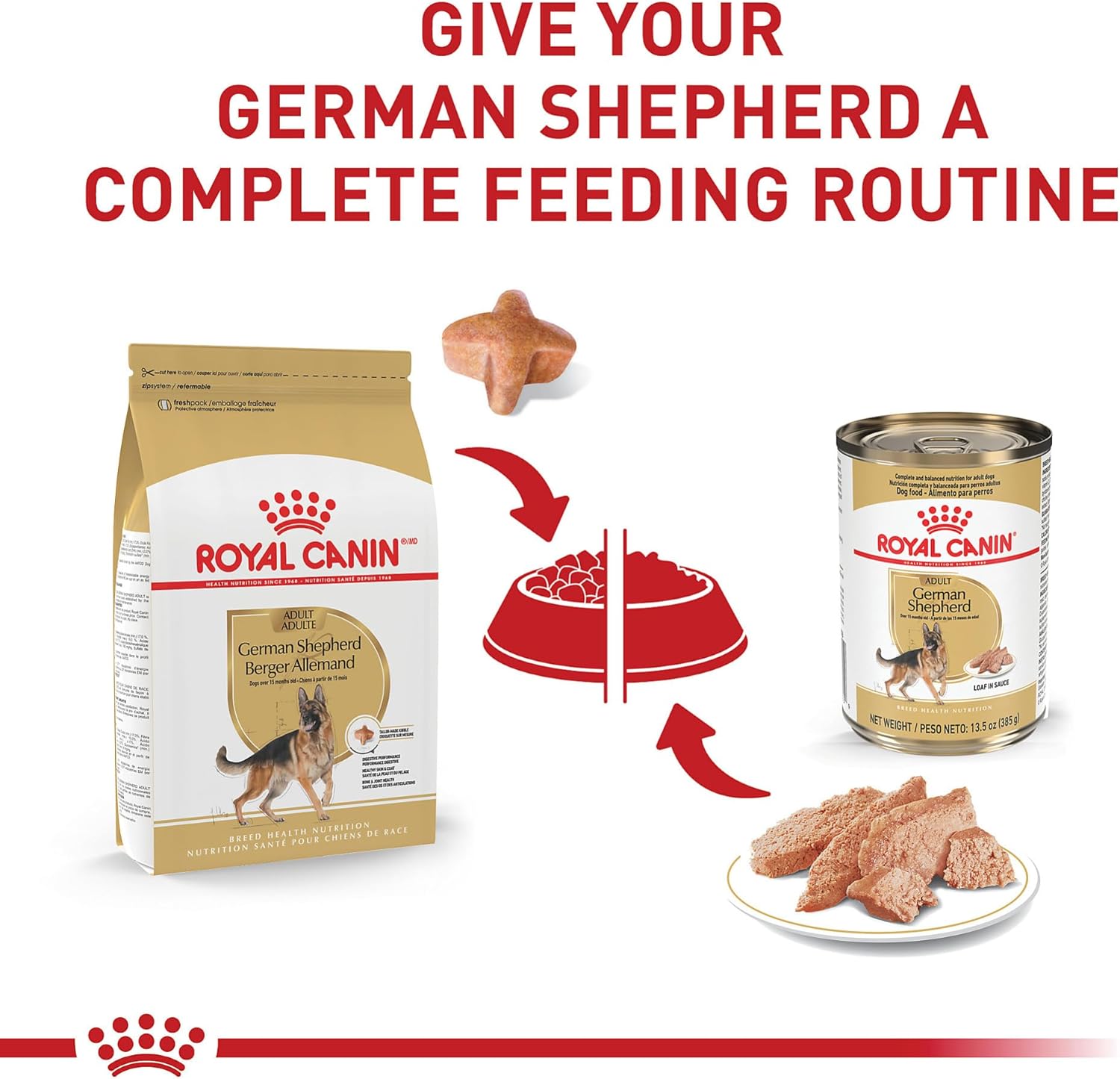 Royal Canin Breed Health Nutrition German Shepherd Adult Dry Dog Food -  Dry Dog Food Royal Canin
