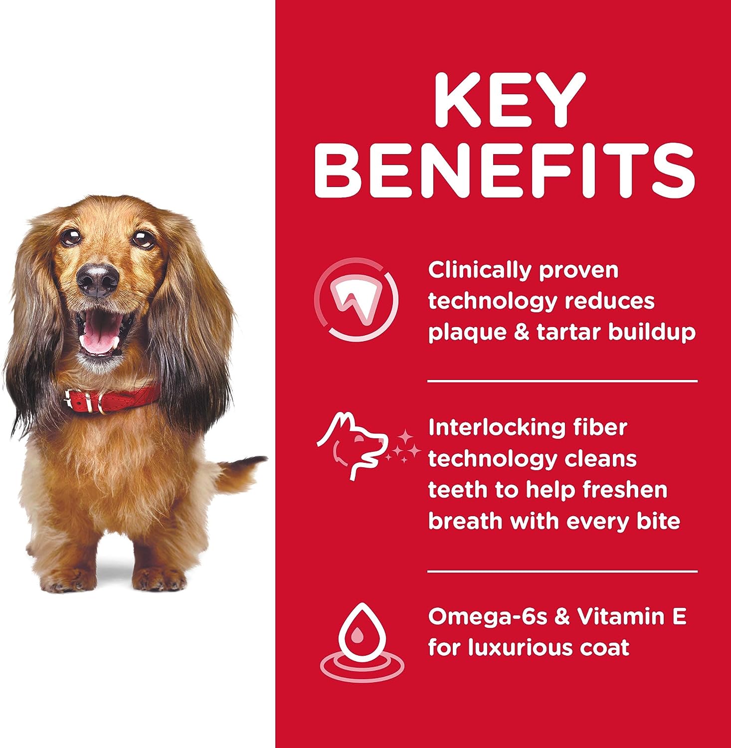 Hill's Science Diet Adult Oral Care Chicken, Rice & Barley Recipe Dry Dog Food -  Dry Dog Food Hill's Science