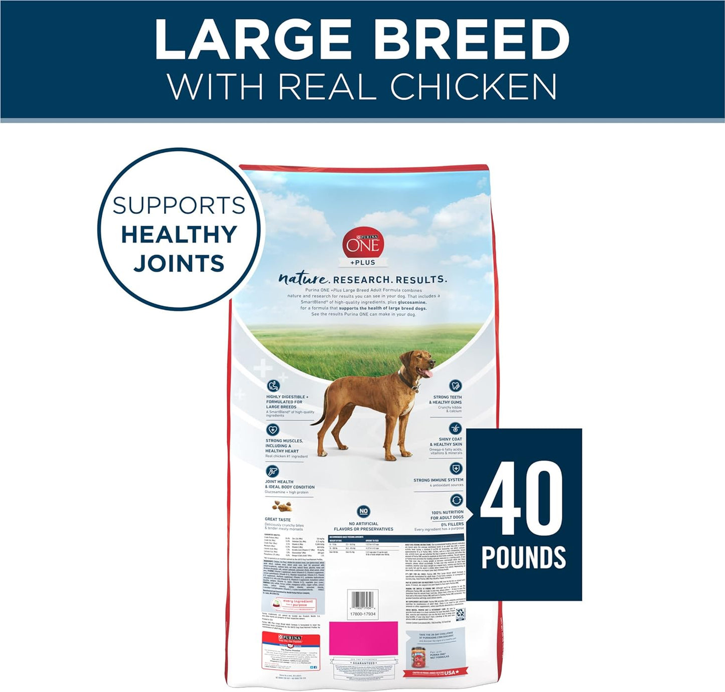 PURINA ONE Plus Large Breed Adult Dry Dog Food Formula Saving UpTo 50% -  Dry Dog Food Purina ONE