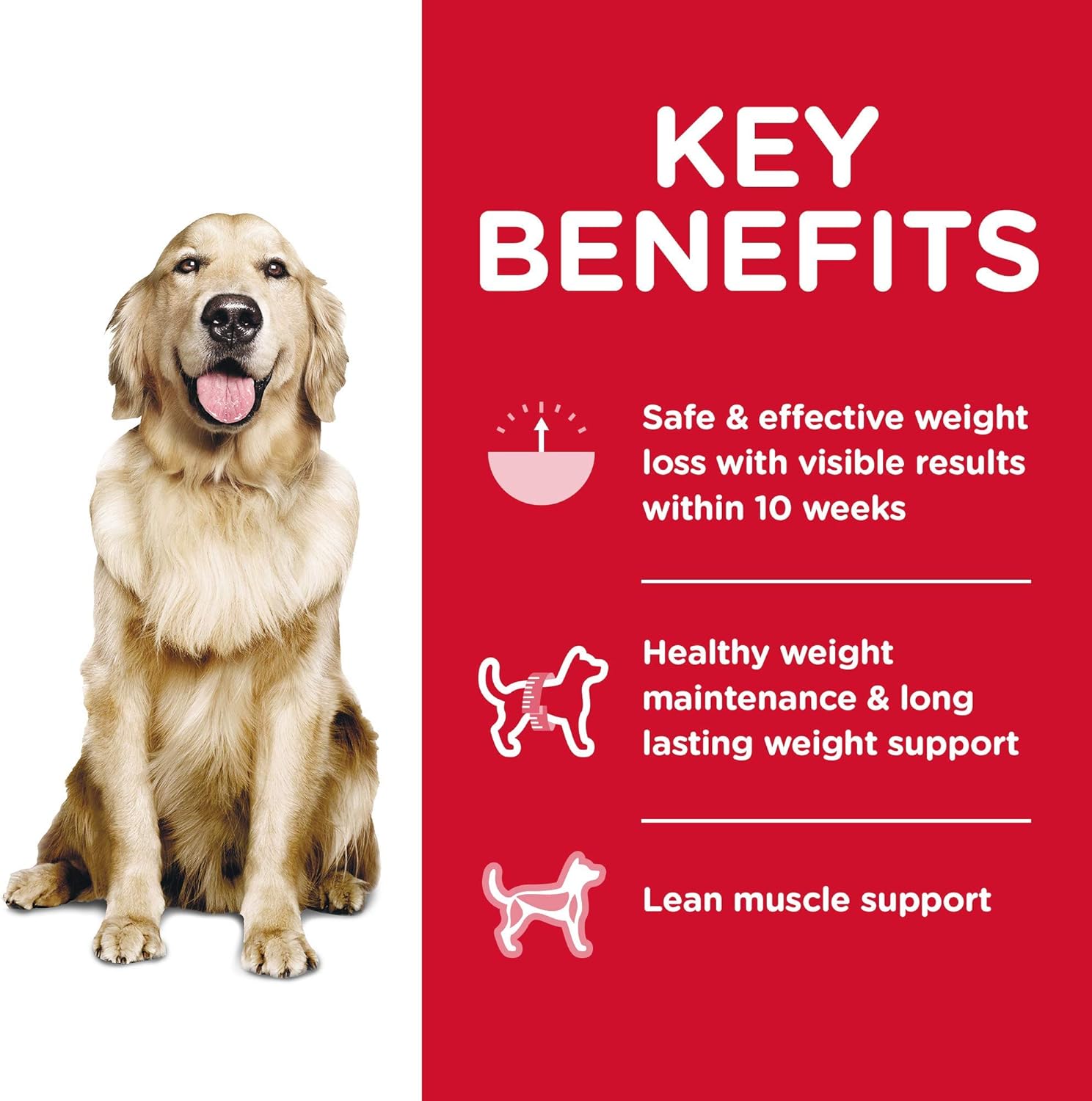 Hill's Science Diet Adult Perfect Weight Chicken Recipe Dry Dog Food -  Dry Dog Food Hill's Science