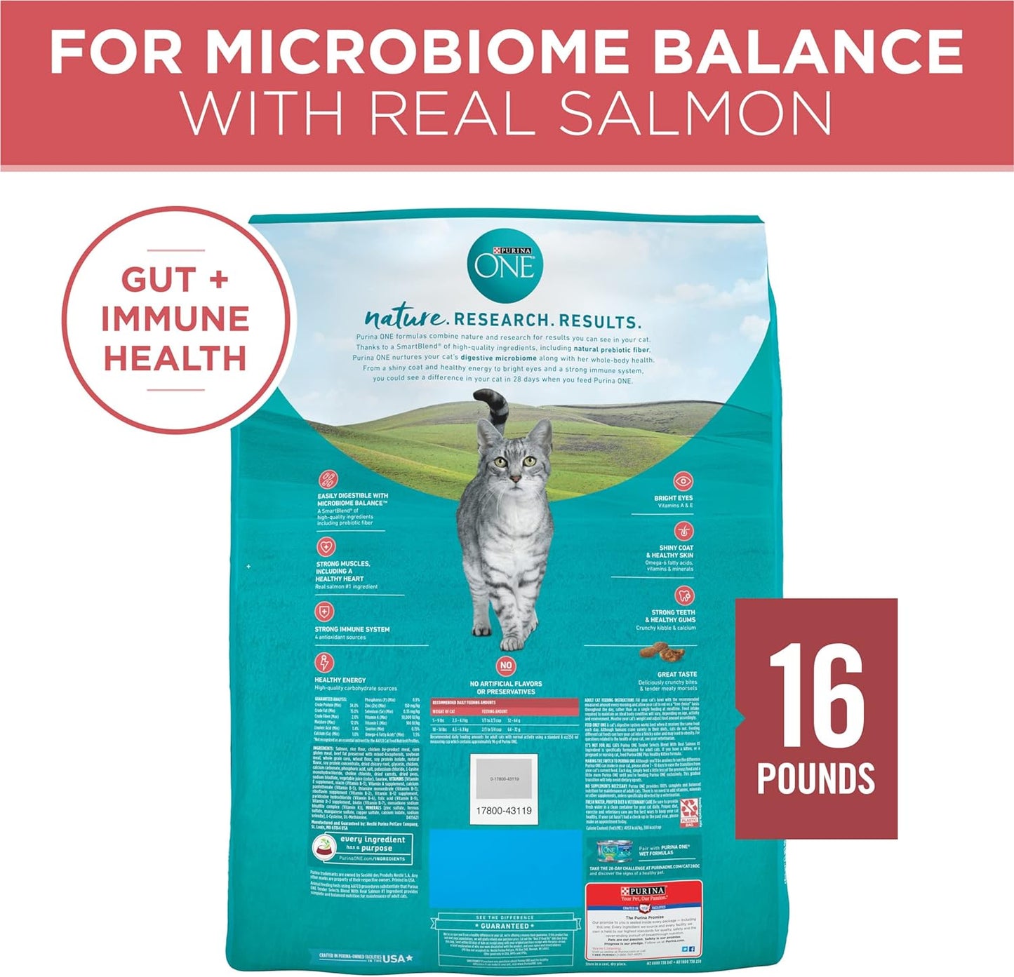 Purina ONE Natural Dry Cat Food, Tender Selects Blend With Real Salmon -  Dry Cat Food Purina ONE