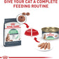 Royal Canin Feline Care Nutrition Digestive Care Loaf in Sauce Canned Cat Food -  Dry Cat Food Royal Canin