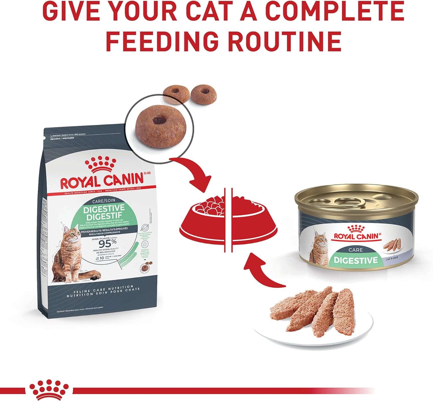 Royal Canin Feline Care Nutrition Digestive Care Loaf in Sauce Canned Cat Food -  Dry Cat Food Royal Canin