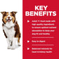 Hill's Science Diet Adult 7+ Beef & Barley Entree Canned Dog Food, 13 oz, 12-Pack -  Wet Dog Food Hill's Science