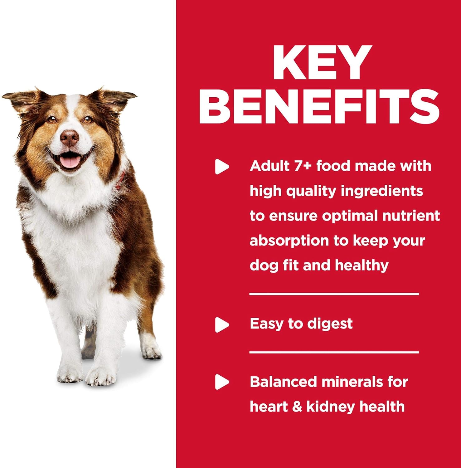 Hill's Science Diet Adult 7+ Beef & Barley Entree Canned Dog Food, 13 oz, 12-Pack -  Wet Dog Food Hill's Science