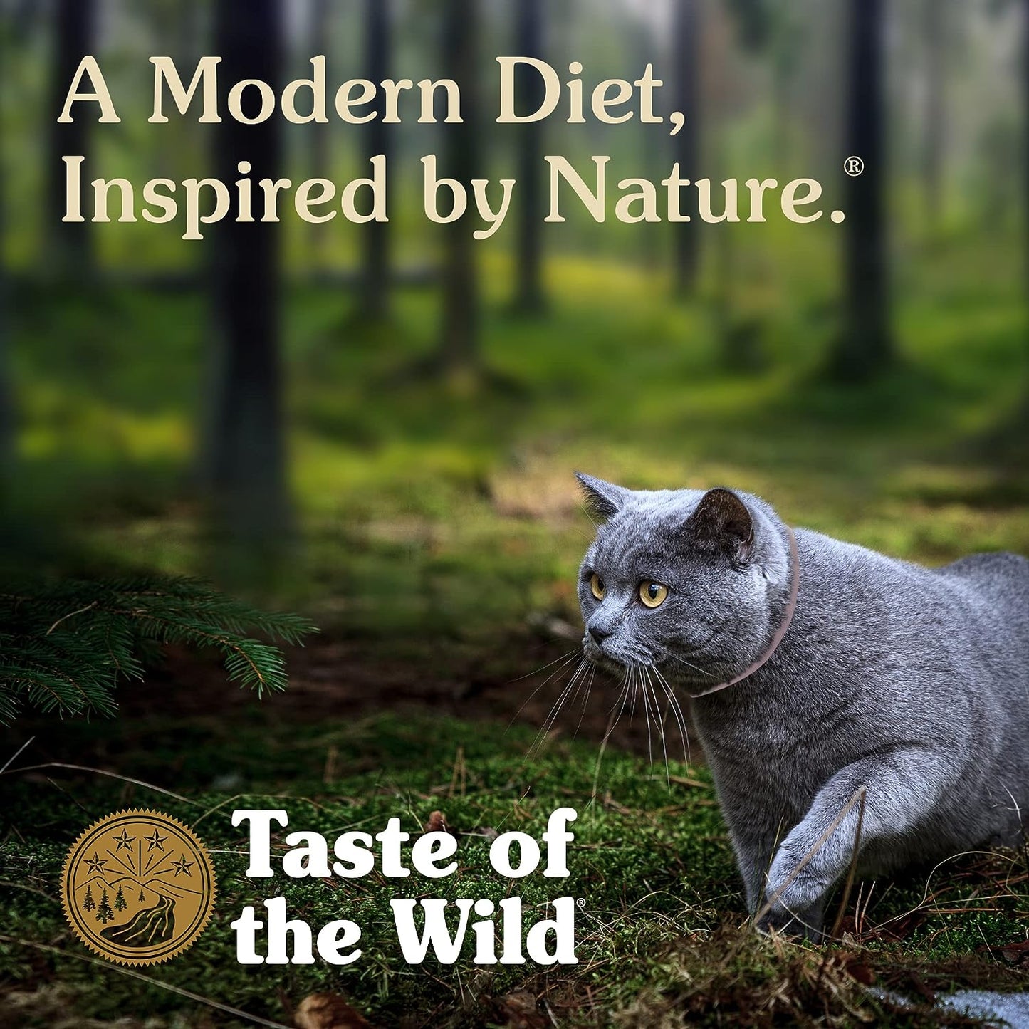 Taste of the Wild Rocky Mountain Grain-Free with Roasted Venison & Smoke-Flavored Salmon Dry Cat Food -  Dry Cat Food Taste of the Wild