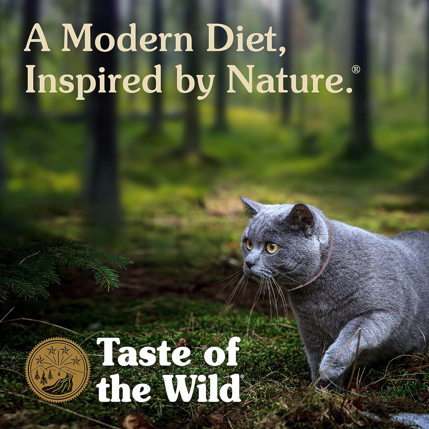 Taste of the Wild Rocky Mountain Grain-Free with Roasted Venison & Smoke-Flavored Salmon Dry Cat Food -  Dry Cat Food Taste of the Wild