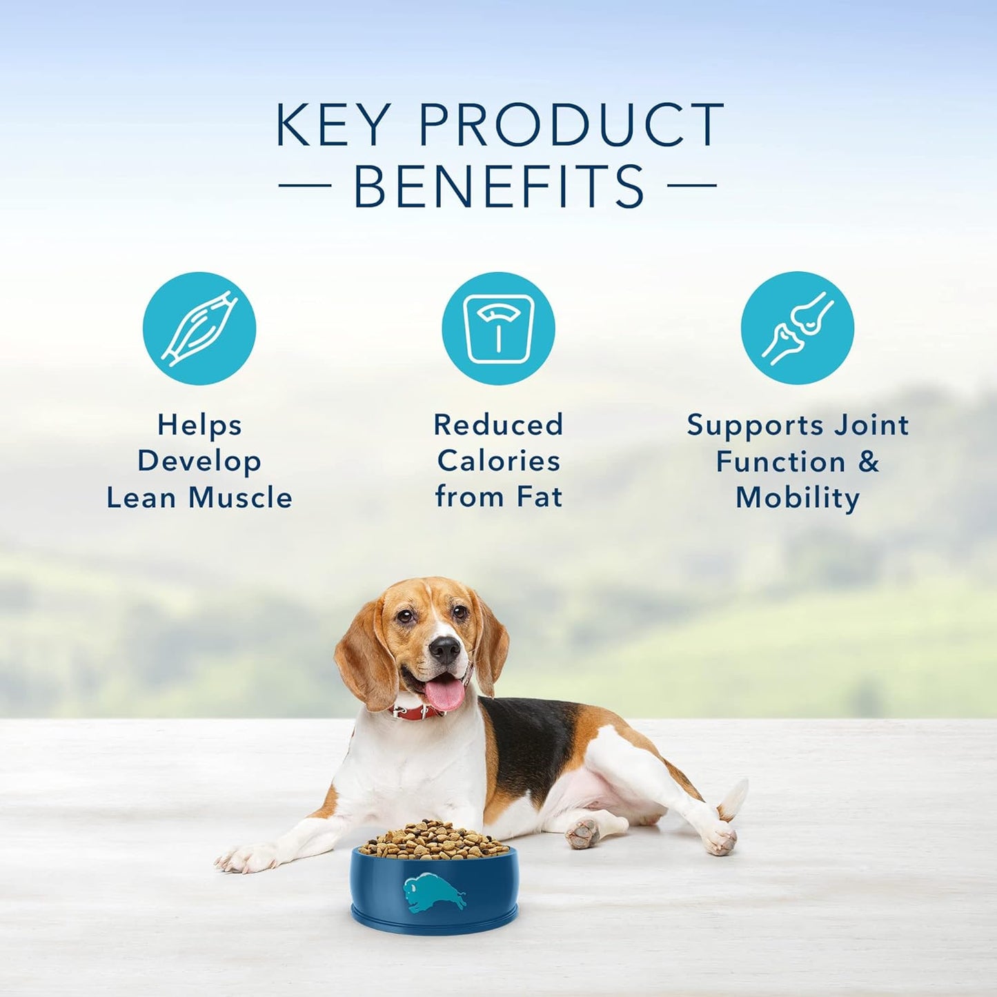 Blue Buffalo Life Protection Formula Natural Adult Healthy Weight Dry Dog Food, Chicken and Brown Rice -  Dry Dog Food Blue Buffalo