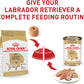 Royal Canin Breed Health Nutrition Labrador Retriever Adult Dry Dog Food -  Dry Dog Food Royal Canin