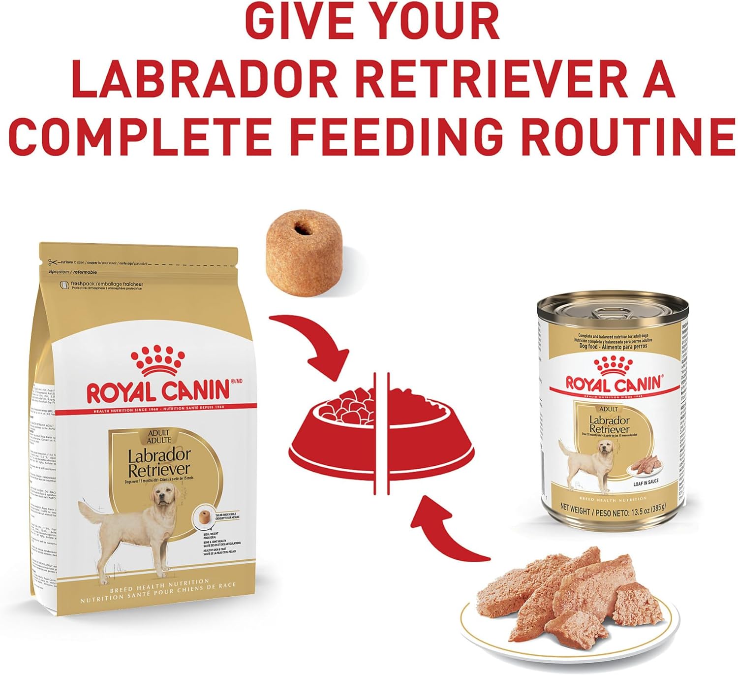 Royal Canin Breed Health Nutrition Labrador Retriever Adult Dry Dog Food -  Dry Dog Food Royal Canin