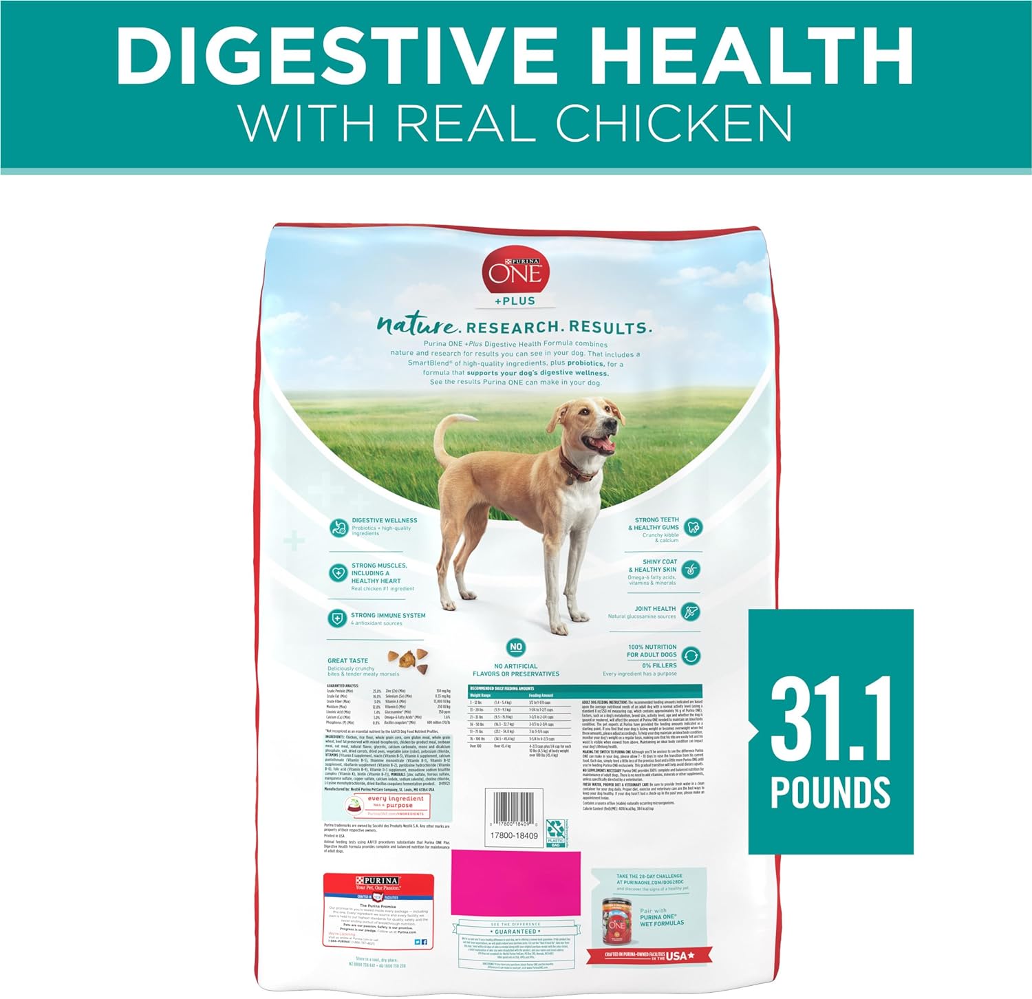 Purina One Plus Digestive Health Formula Adult Dry Dog Food Natural -  Dry Dog Food Purina ONE