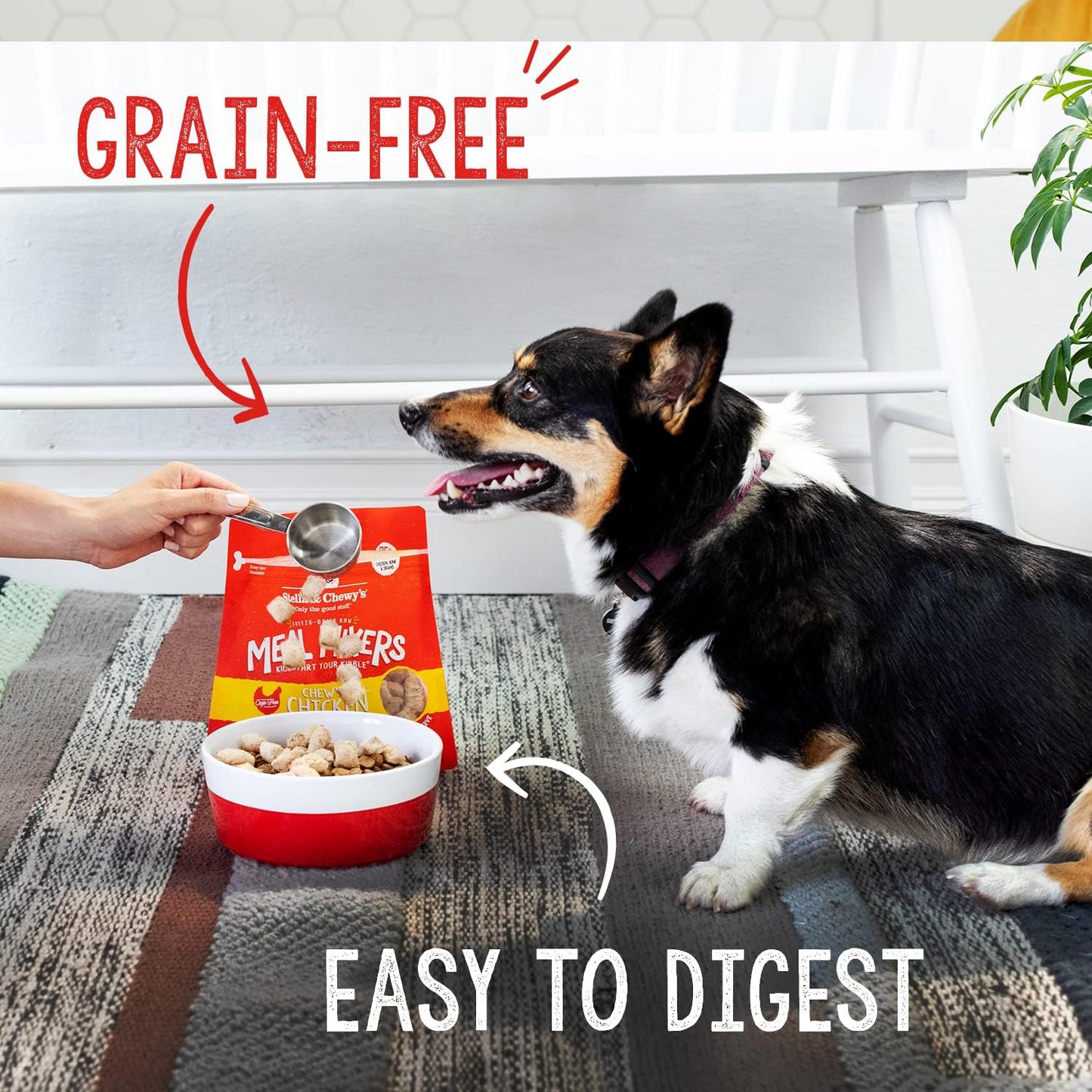 Stella & Chewy's Freeze Dried Raw Chewy's Chicken Meal Mixers High Protein Dry Dog Food Topper -  Dry Dog Food Stella & Chewy's