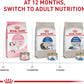 Royal Canin Dry Cat Food Feline Nutrition for Adult Indoor Cats -  Dry Cat Food Royal Canin