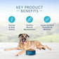 Blue Buffalo Life Protection Formula Natural Senior Dry Dog Food, Chicken & Brown Rice -  Dry Dog Food Blue Buffalo