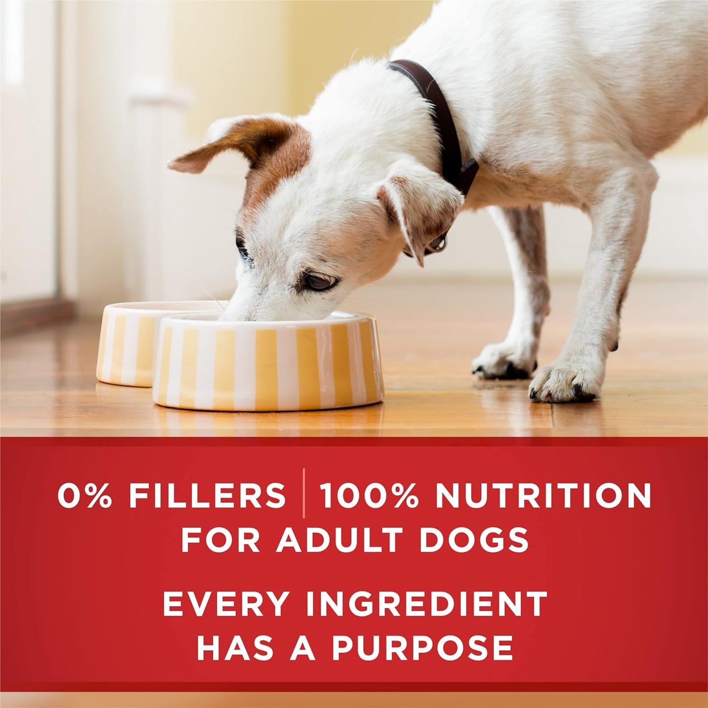 Purina ONE Natural High Protein Wet Dog Food, Tender Cuts in Gravy Chicken & Brown Rice Entree -  Wet Dog Food Purina ONE