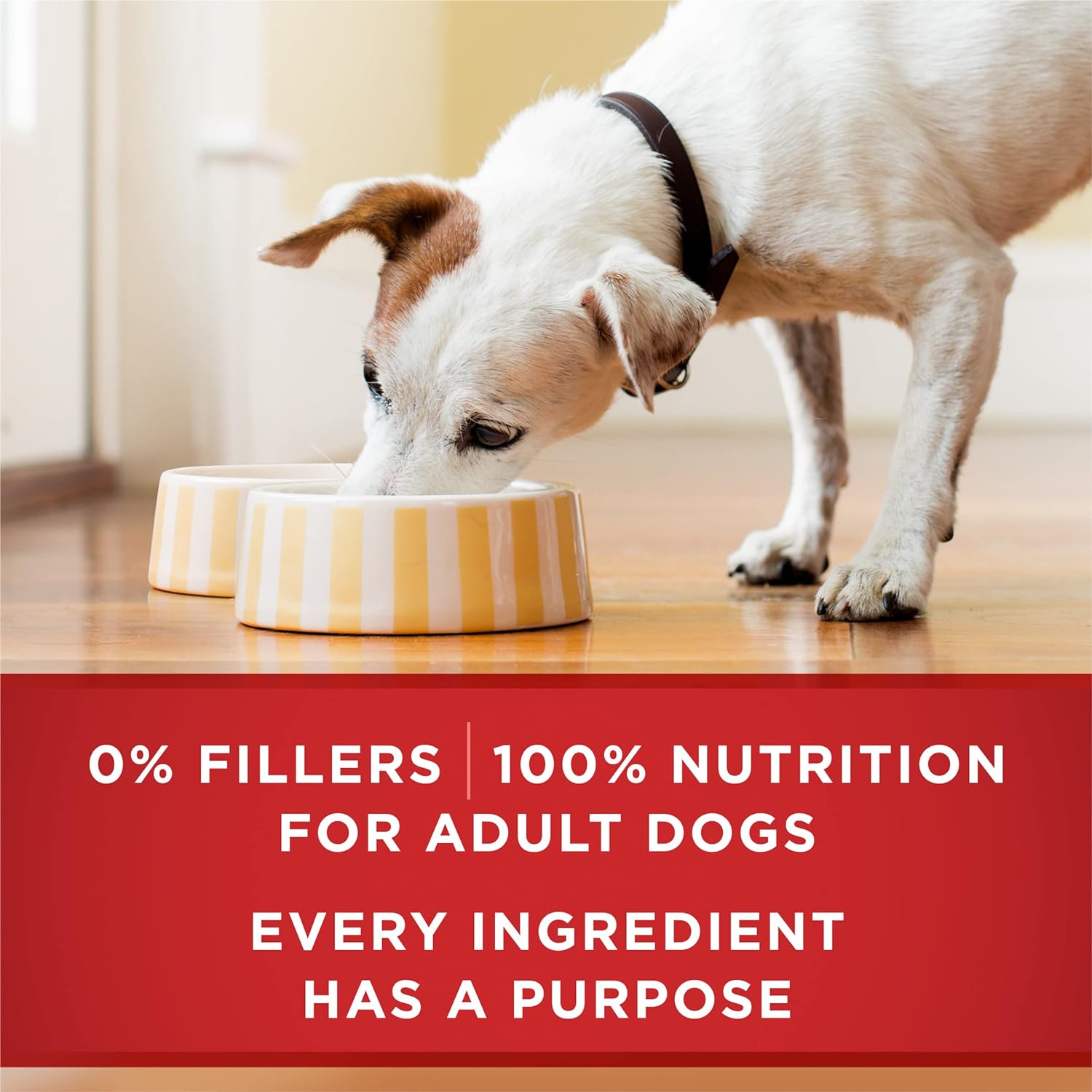 Purina ONE Natural High Protein Wet Dog Food, Tender Cuts in Gravy Chicken & Brown Rice Entree -  Wet Dog Food Purina ONE