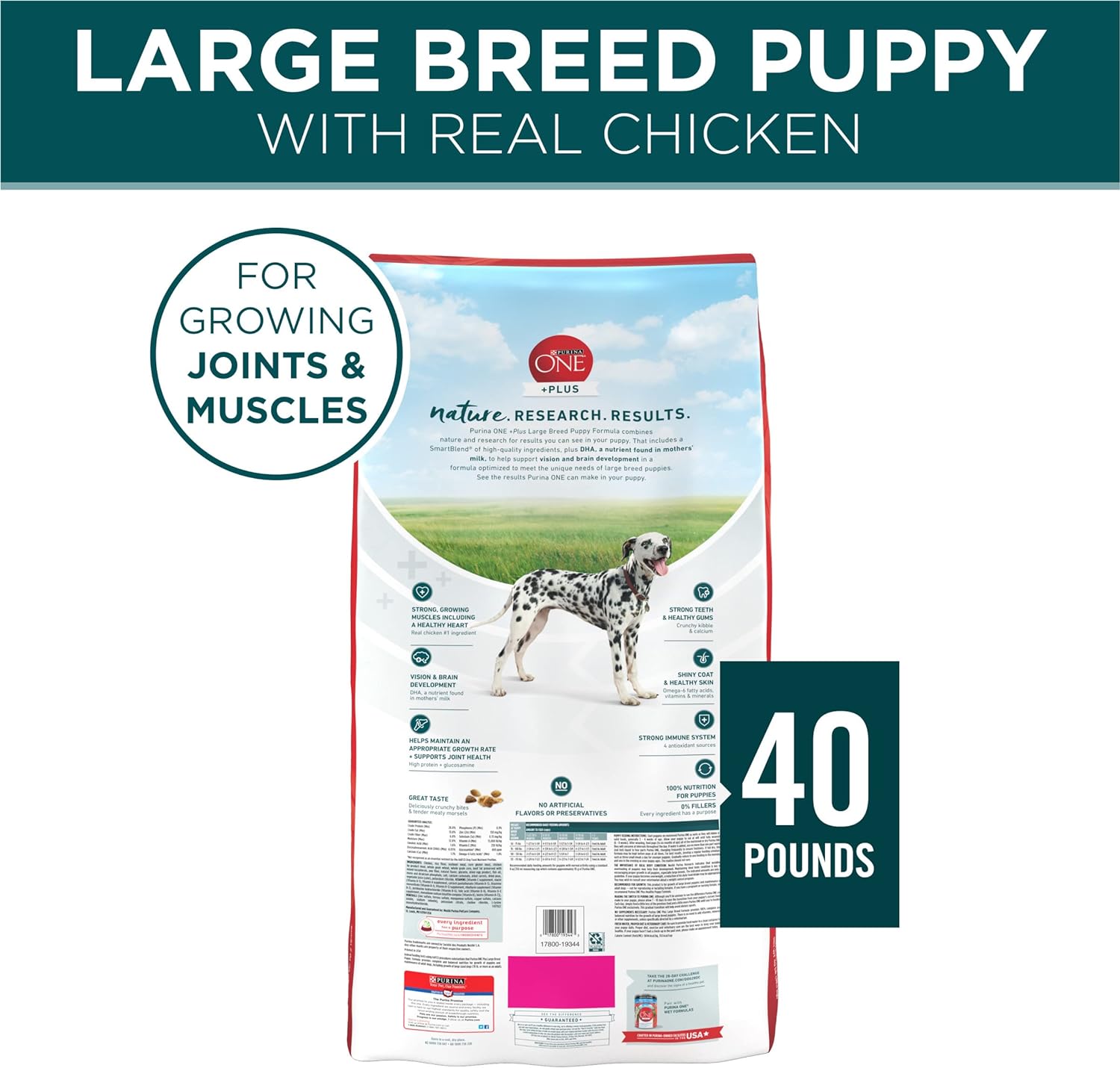 Purina ONE Natural High Protein Dry Puppy Food Plus Large Breed Formula -  Dry Dog Food Purina ONE