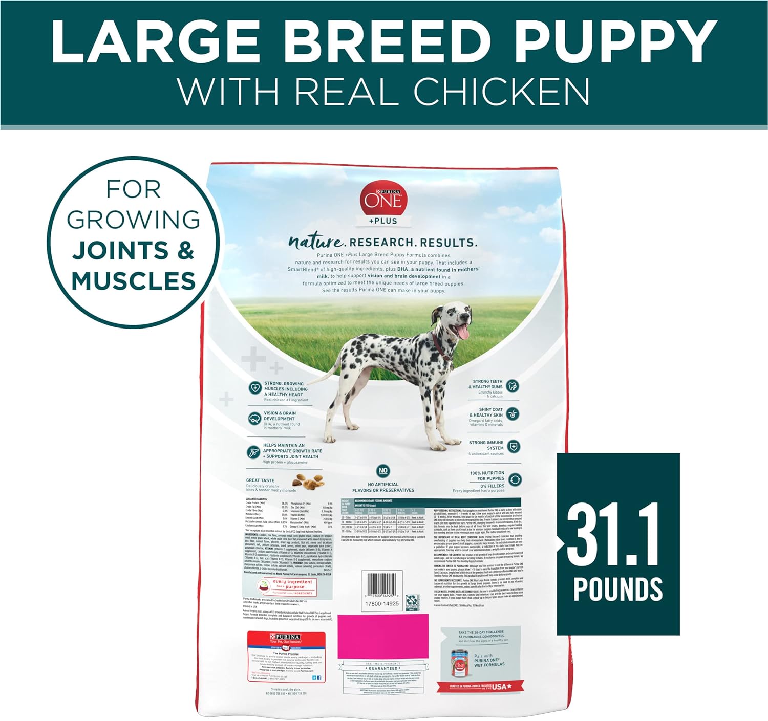 Purina ONE Plus Large Breed Formula Dry Puppy Food, Saving Up to 50% -  Dry Dog Food Purina ONE