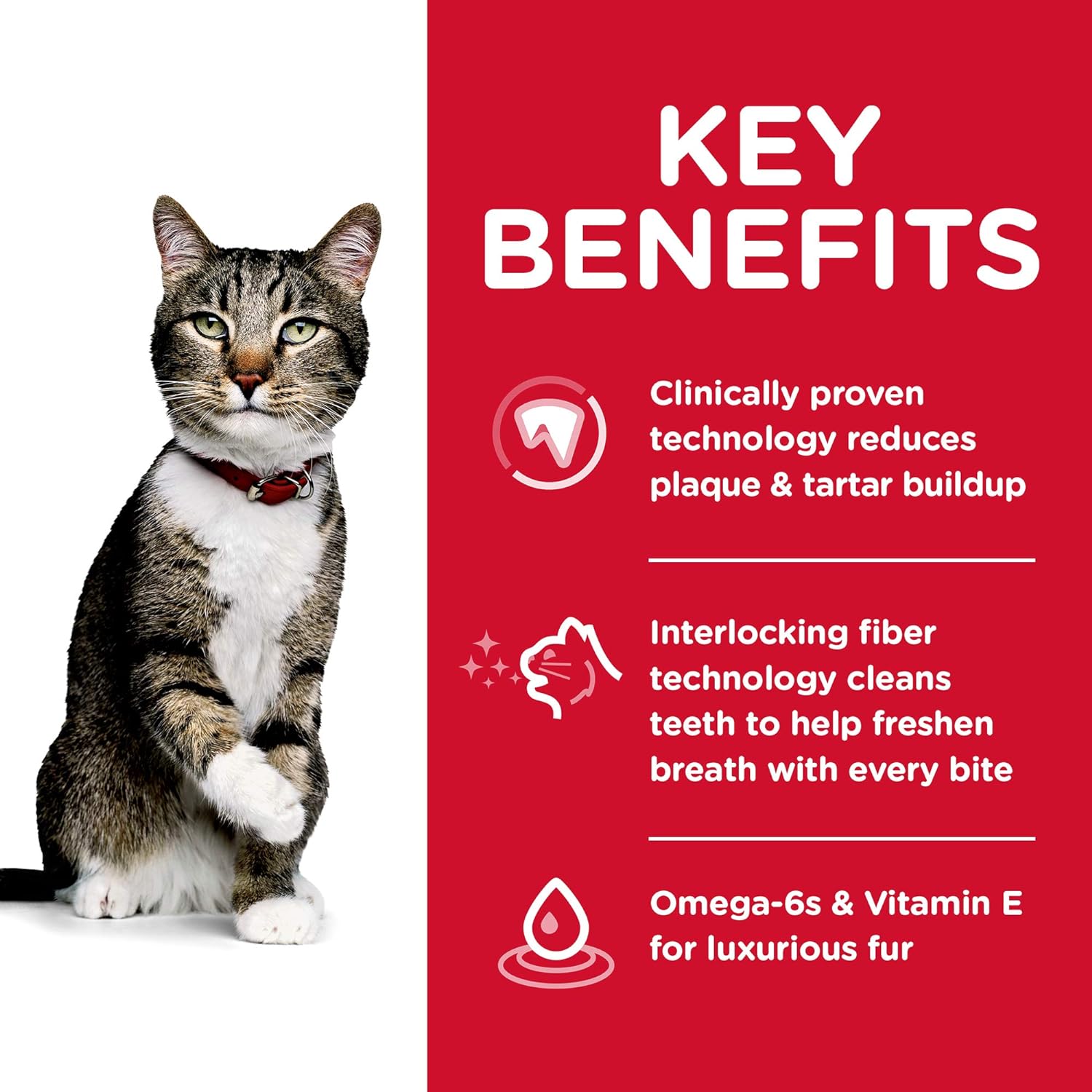 Hill's Science Diet Adult Oral Care Chicken Recipe Dry Cat Food -  Dry Cat Food Hill's Science