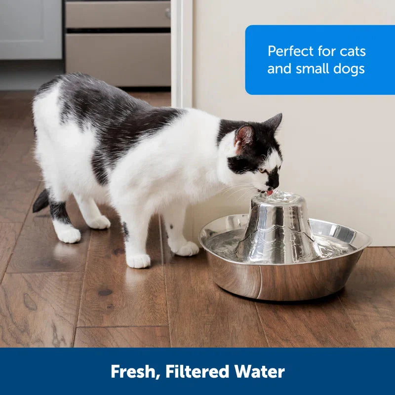 PetSafe Seaside Stainless Cat & Dog Fountain - 60 Oz Capacity -  Pet Fountain PetSafe