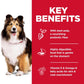 Hill's Science Diet Adult Sensitive Stomach & Skin Chicken Recipe Dry Dog Food -  Dry Dog Food Hill's Science