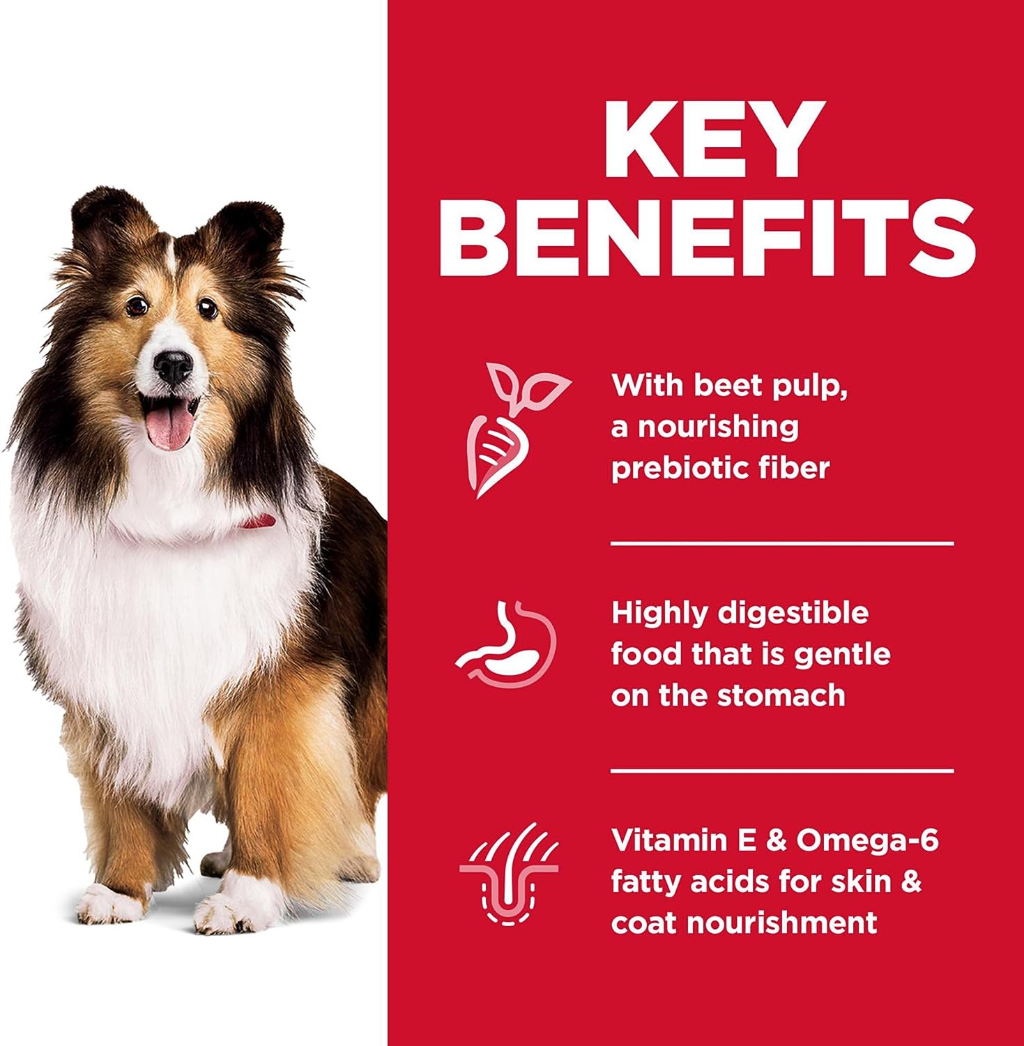 Hill's Science Diet Adult Sensitive Stomach & Skin Chicken Recipe Dry Dog Food -  Dry Dog Food Hill's Science