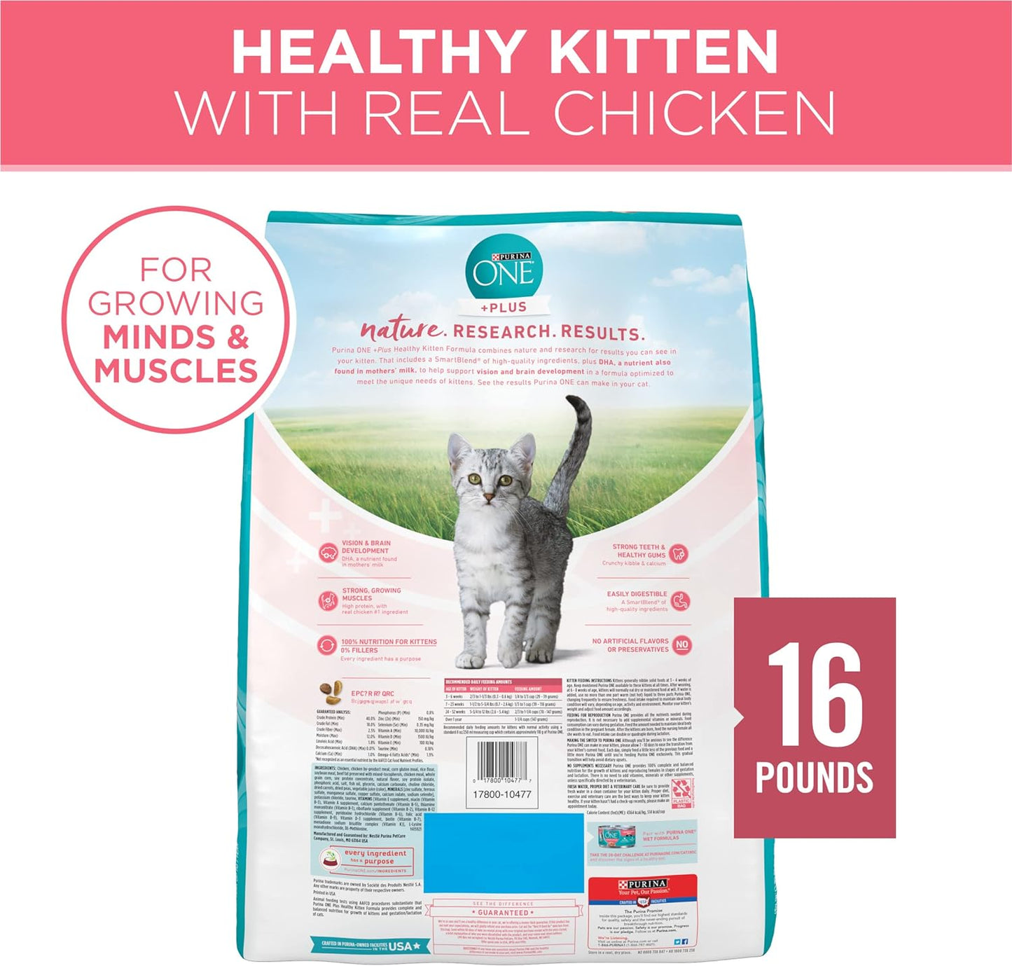 Purina ONE High Protein Natural Dry Kitten Food +Plus Healthy Kitten Formula -  Dry Cat Food Purina ONE