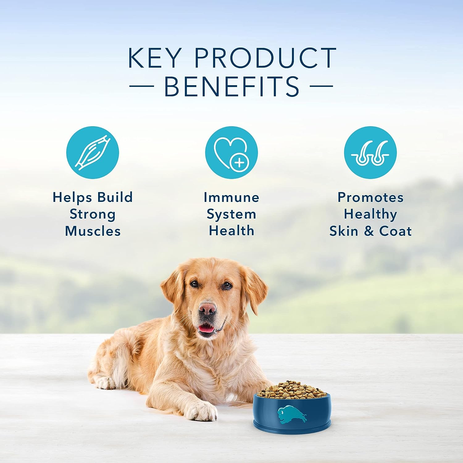 Blue Buffalo Life Protection Formula Natural Adult Dry Dog Food, Chicken & Brown Rice -  Dry Dog Food Blue Buffalo