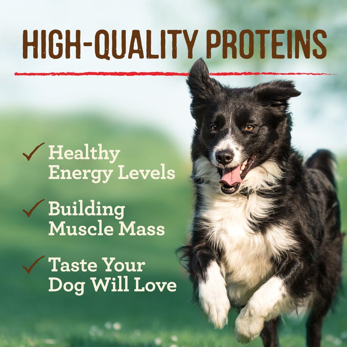 Merrick Real Grain Free Texas Beef Dinner Canned Dog Food, 12.7 oz, 12-Pack -  Wet Dog Food Merrick