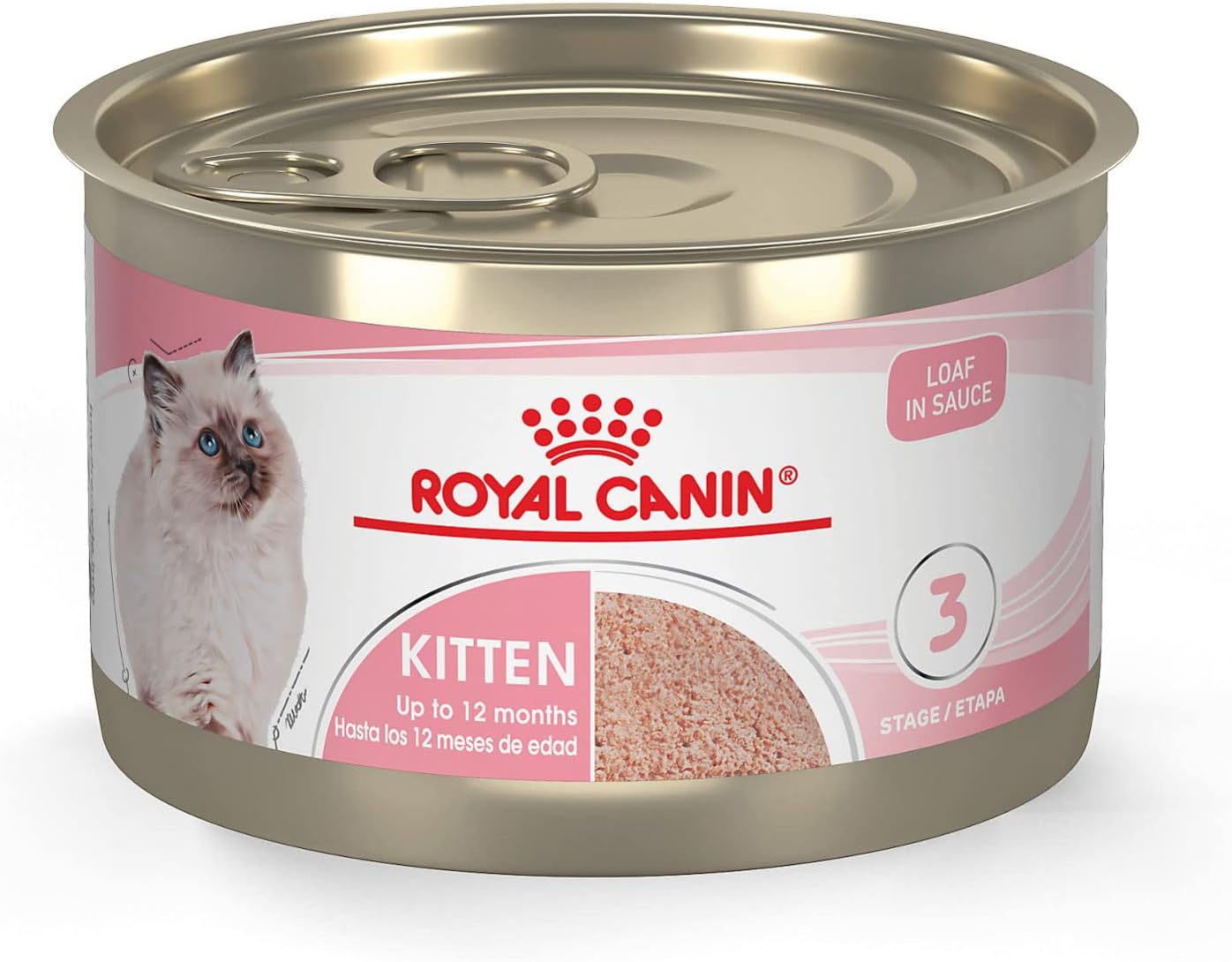Royal Canin Feline Health Nutrition Kitten Loaf in Sauce Canned Cat Food -  Wet Cat Food Royal Canin