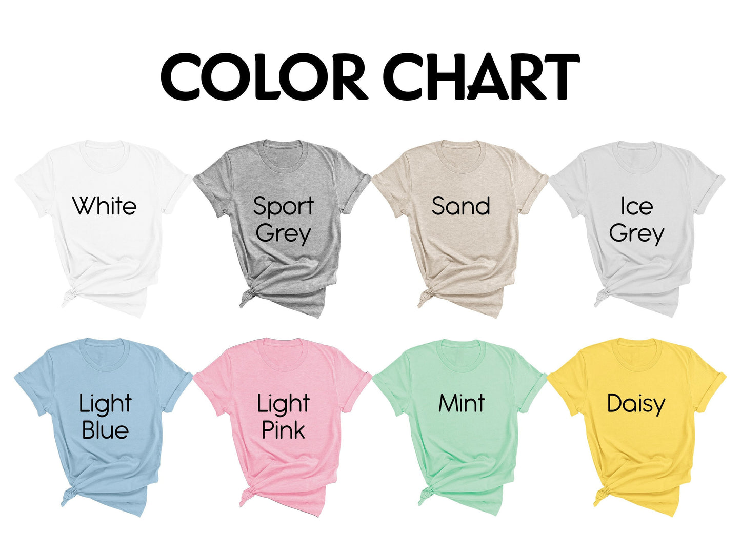 Raccoon Pride Lgbt Shirt, Racoon Pride Flag Shirt, Gay Queer Shirt, Funny Lgbt Shirt, Lgbtq Support