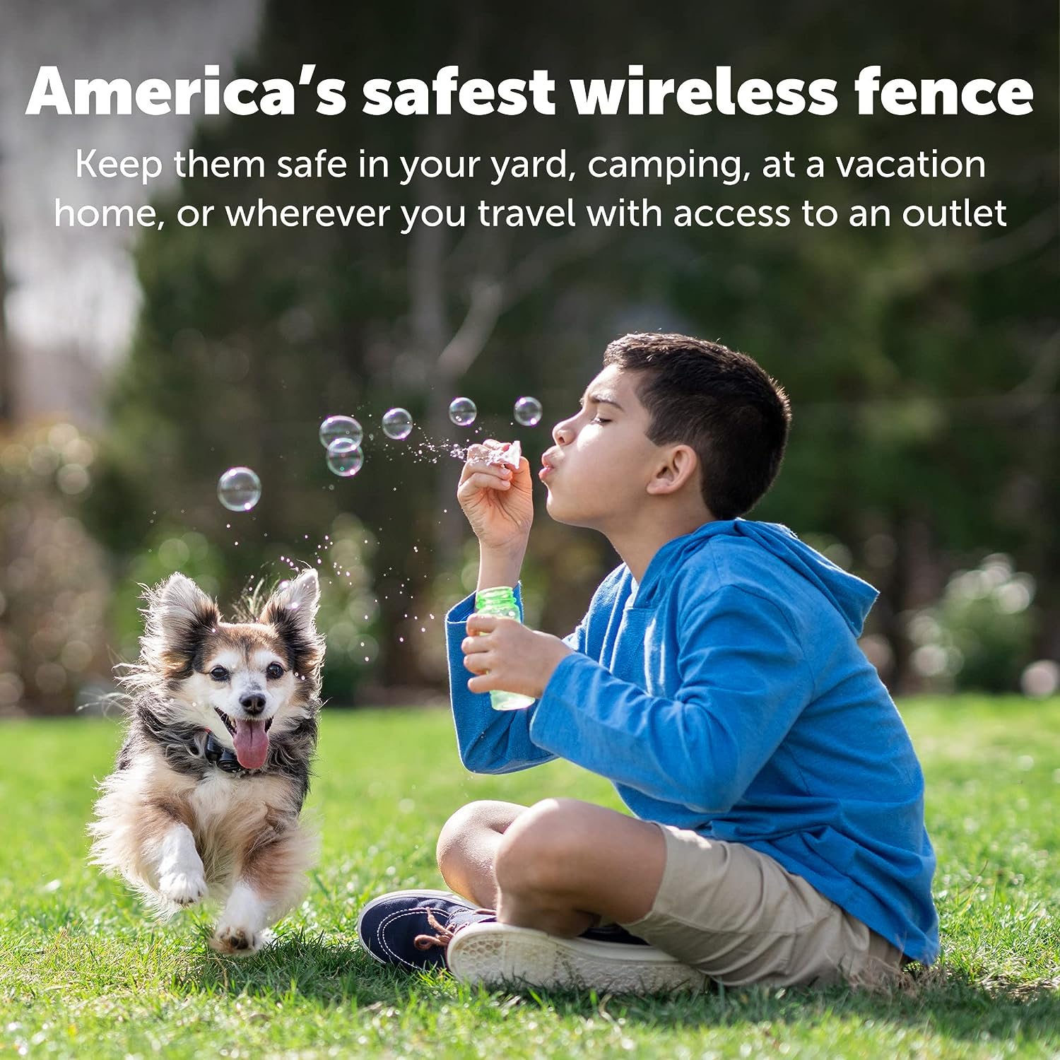 PetSafe Wireless Pet Fence Containment System Receiver Collar Only for Dogs and Cats -  Dog Gates & Pens PetSafe