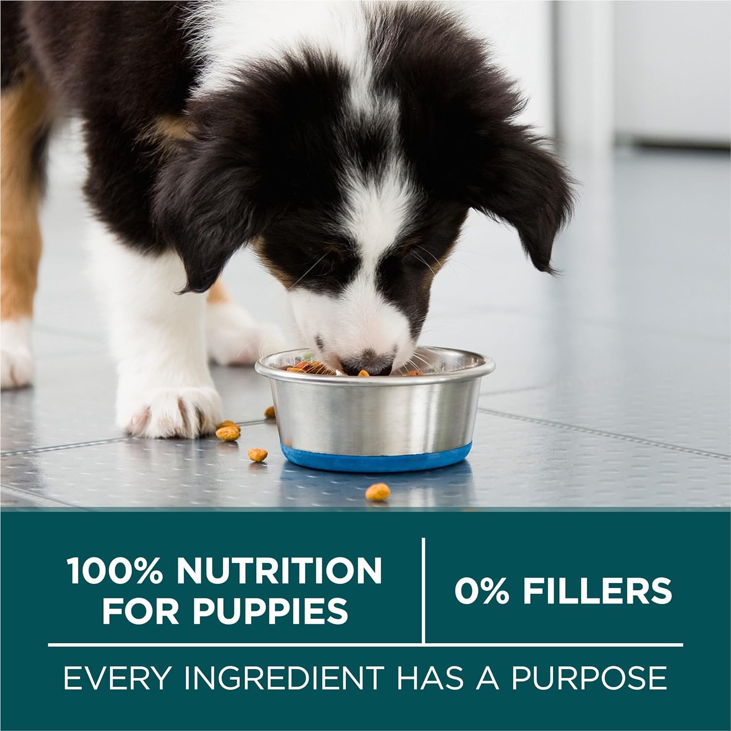 Purina ONE Natural High Protein Dry Puppy Food Plus Large Breed Formula -  Dry Dog Food Purina ONE