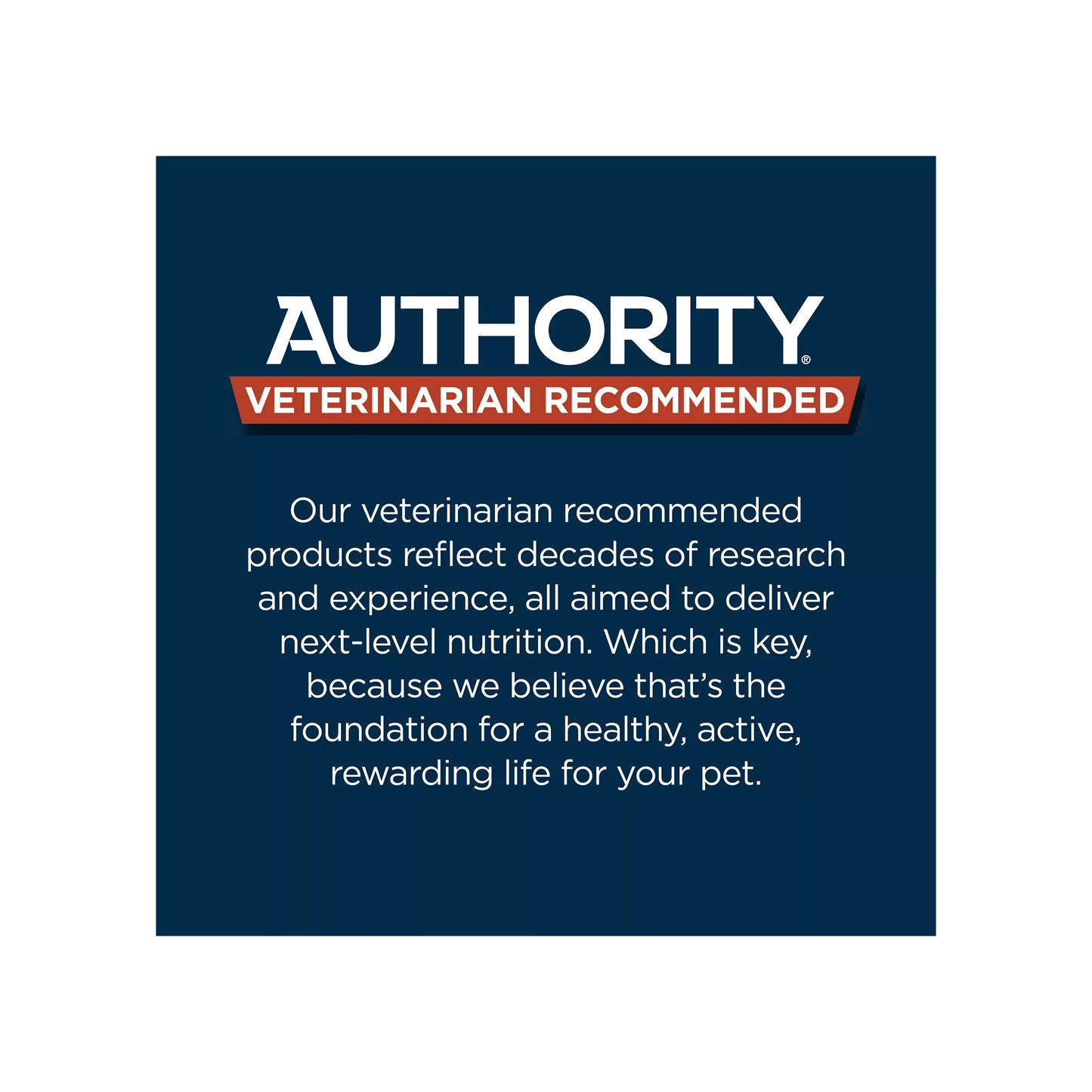 Authority Sensitive Stomach & Skin All Life Stages Dry Dog Food - Salmon & Rice