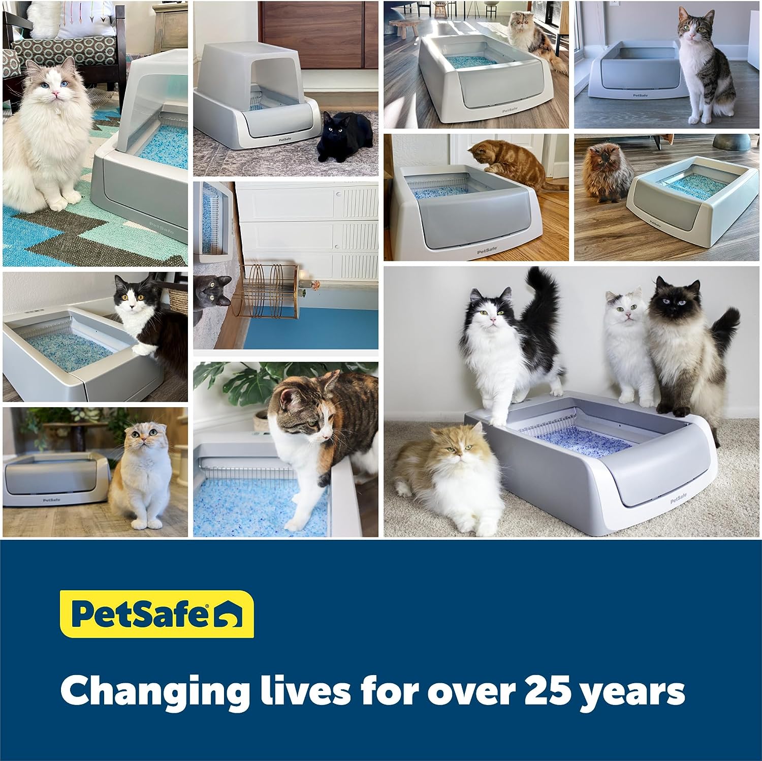 PetSafe ScoopFree Self-Cleaning Litter Box Second Generation -  Self-Cleaning Litter Box PetSafe