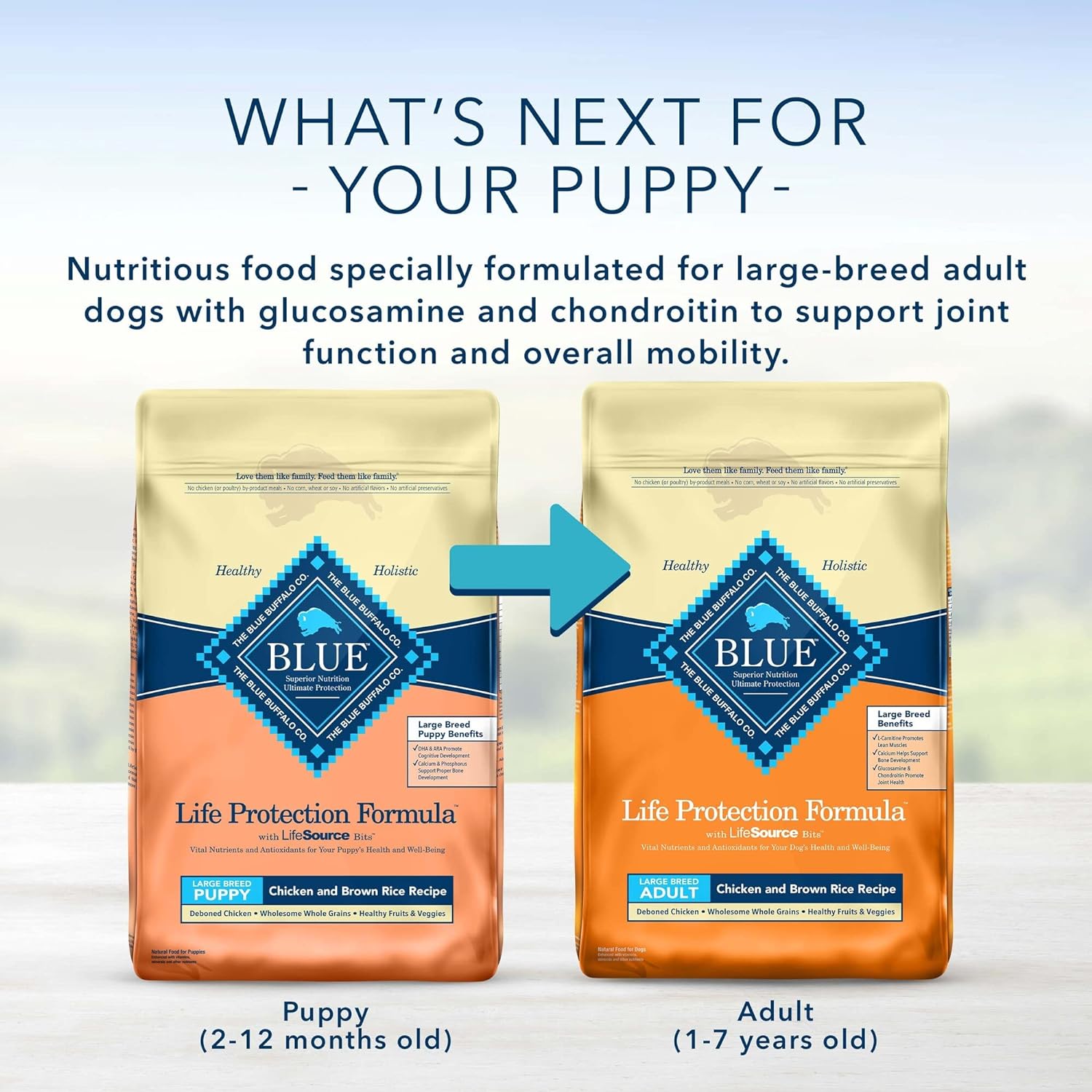 Blue Buffalo Life Protection Formula Natural Puppy Large Breed Dry Dog Food, Chicken & Brown Rice -  Dry Dog Food Blue Buffalo