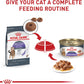 Royal Canin Appetite Control Spayed/Neutered Dry Adult Cat Food, 6 LB -  Dry Cat Food Royal Canin