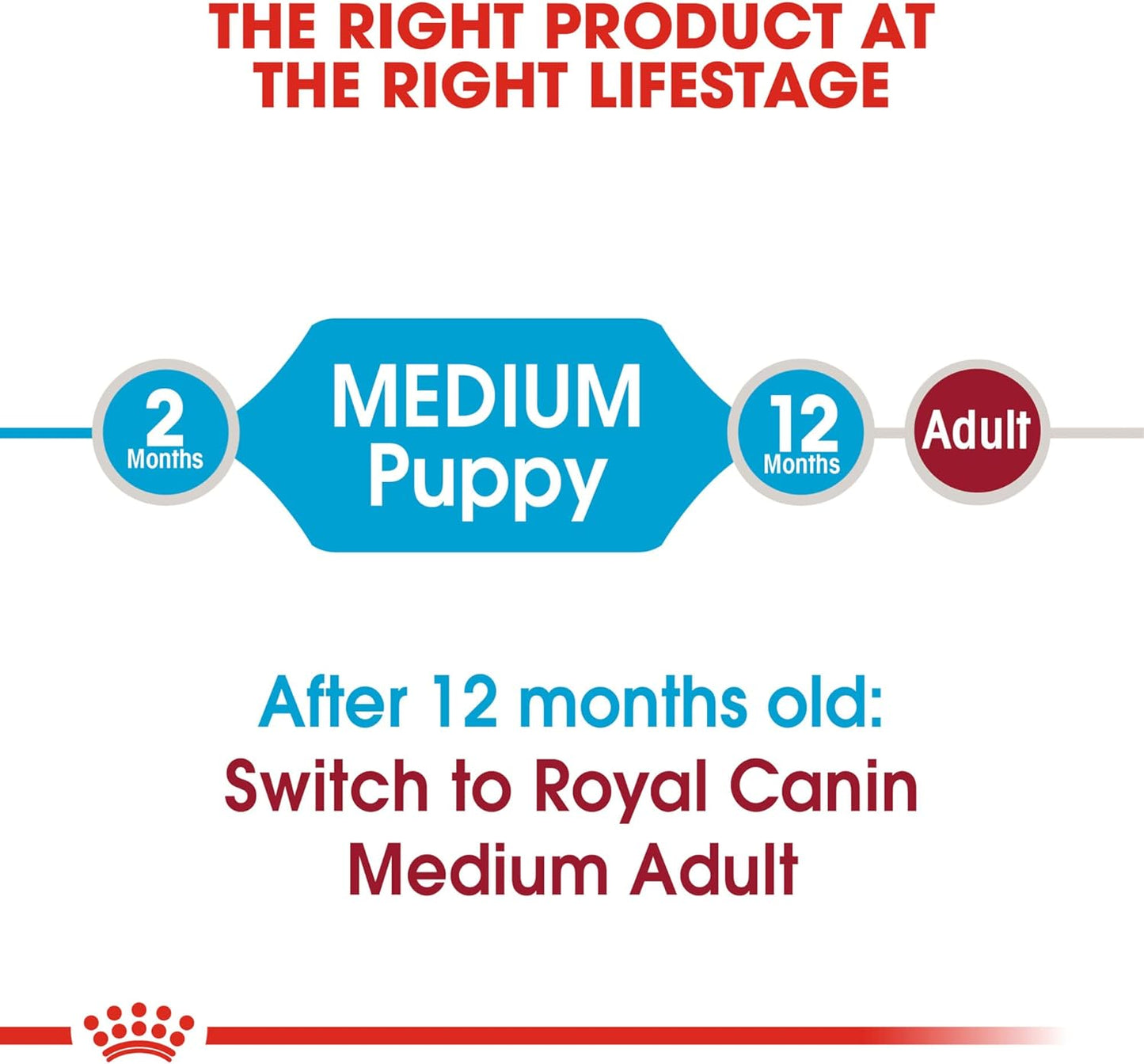 Royal Canin Size Health Nutrition Medium Puppy Dry Dog Food -  Dry Dog Food Royal Canin