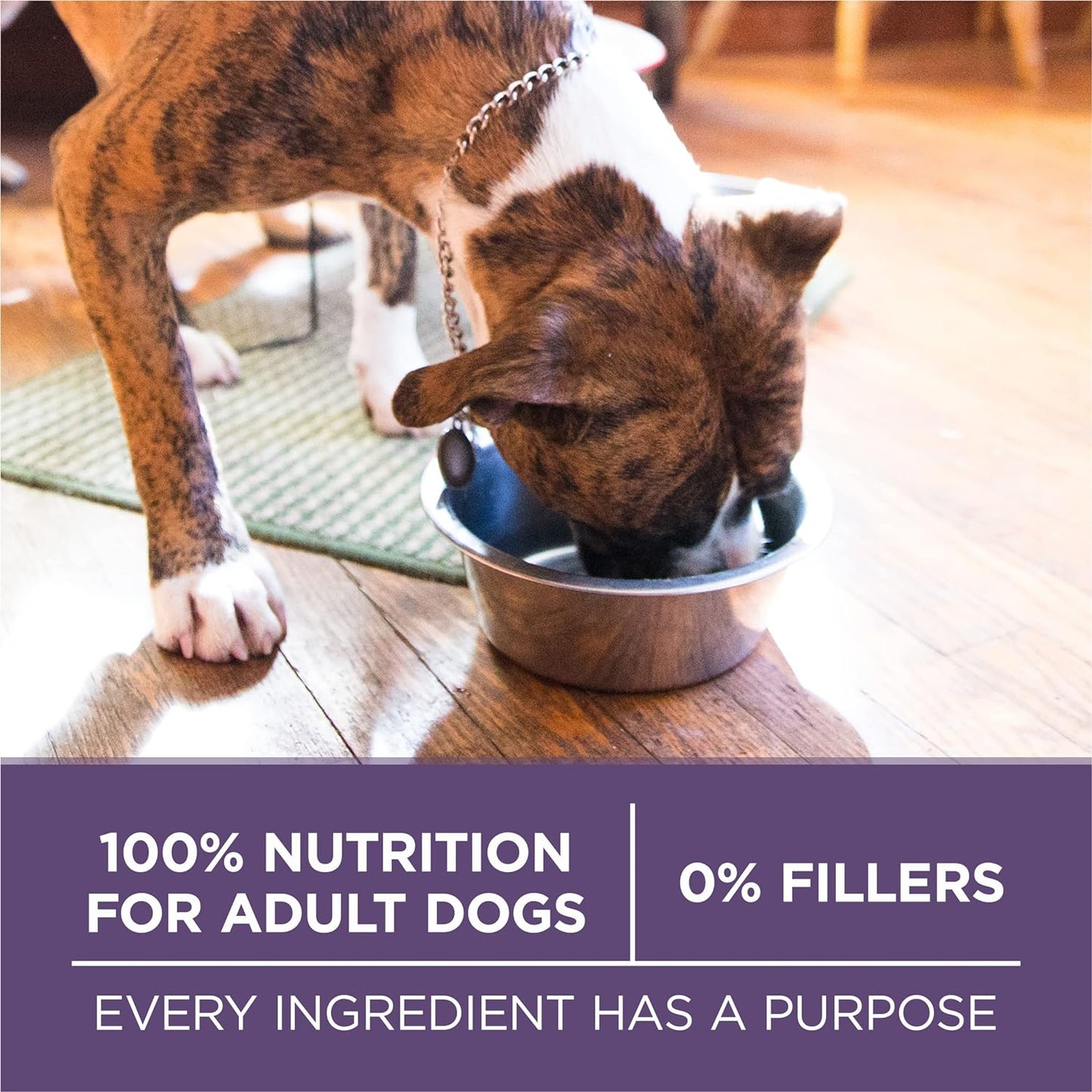 Purina ONE High Protein Dry Senior Dog Food Plus Vibrant Maturity Adult 7+ Formula -  Dry Dog Food Purina ONE